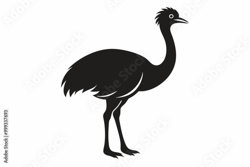 Emu silhouette vector, ostrich emu bird vector illustration 