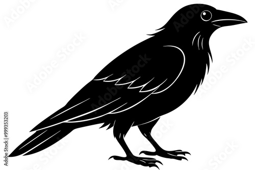 Vector illustration of black silhouette of a crow,white background