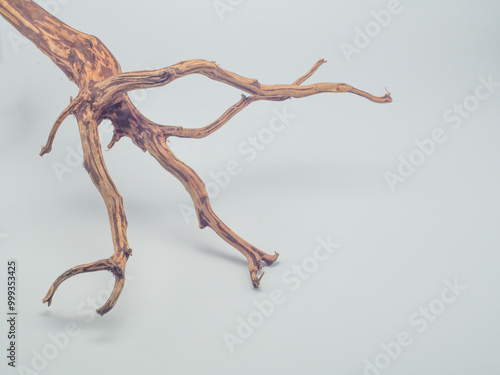 Rasamala wood roots isolated on a white background, often used as an aquatic or non-aquatic decoration photo