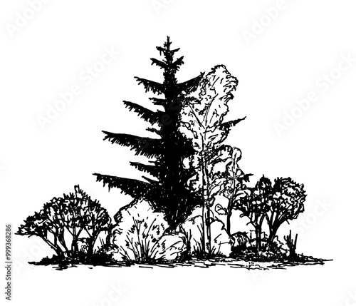 Trees, Shrub. Coniferous and deciduous trees. Vegetation. Hand drawn illustration with black outline. Sketch in ink illustration landscape