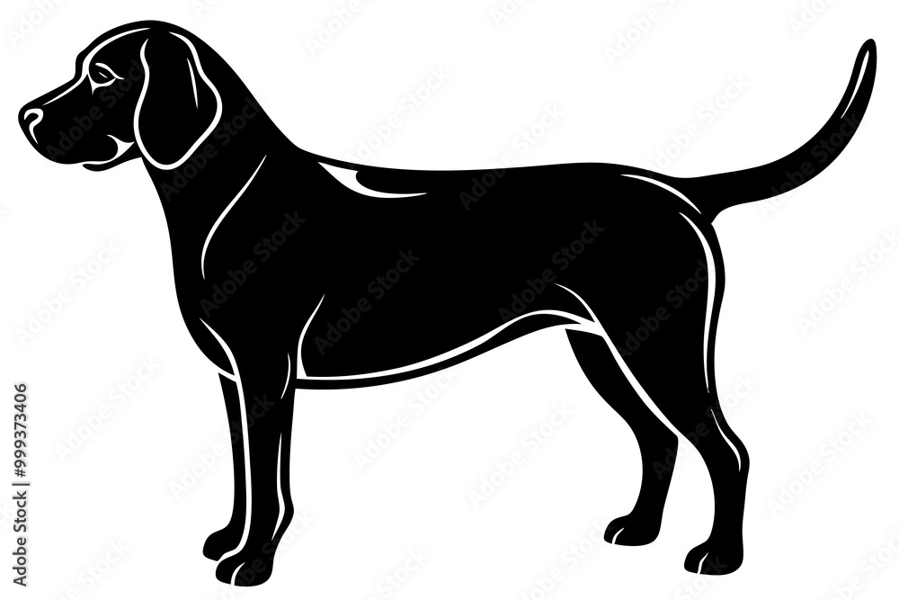 Beagle dog, Beagle dog silhouette, Beagle hound dog vector
Beagle dog, Beagle dog silhouette, Beagle hound dog vector