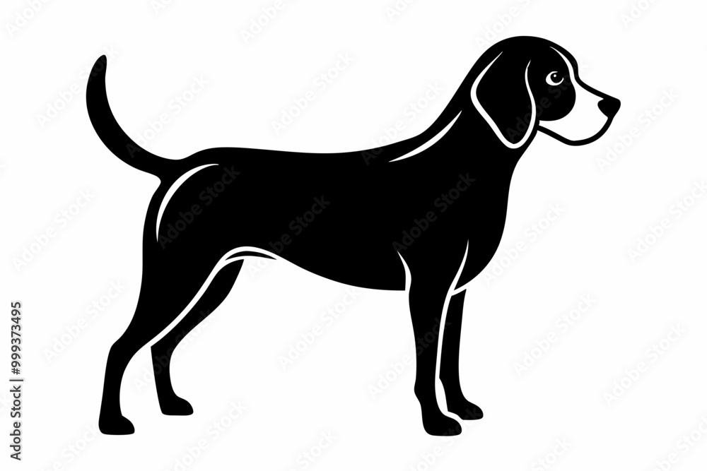 Beagle dog, Beagle dog silhouette, Beagle hound dog vector
Beagle dog, Beagle dog silhouette, Beagle hound dog vector