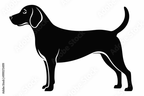 
Beagle dog, Beagle dog silhouette, Beagle hound dog vector
