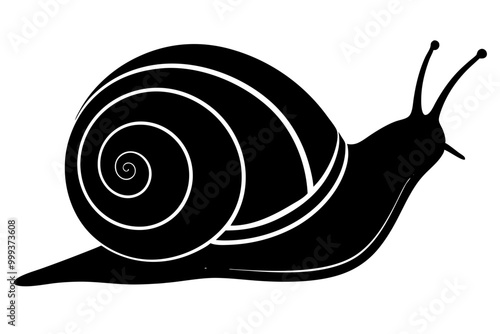 snail silhouette vector art illustration