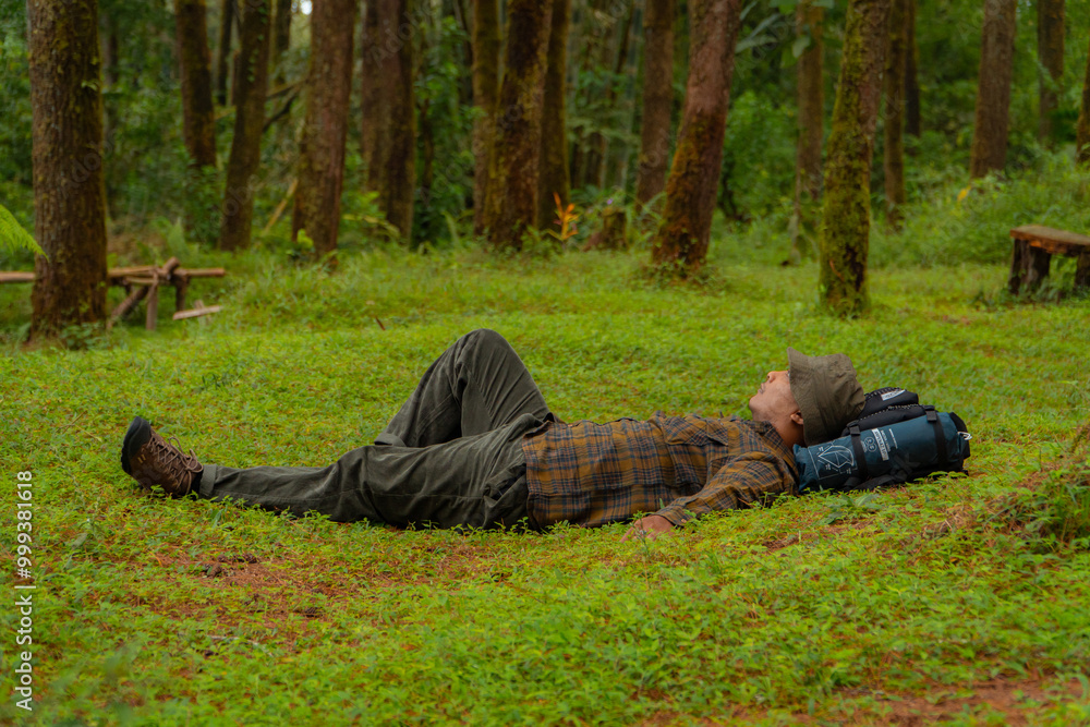 A male adventurer was lying on the grass in a beautiful and quiet pine forest. Asian adventurers enjoy the serenity of the wild by resting on the green grass in the pine forest area A male adventurer was lying on the grass in a beautiful and quiet pine forest. Asian adventurers enjoy the serenity of the wild by resting on the green grass in the pine forest area