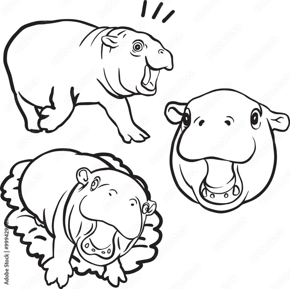 Out line baby hippo transparent background. Out line baby hippo transparent background.