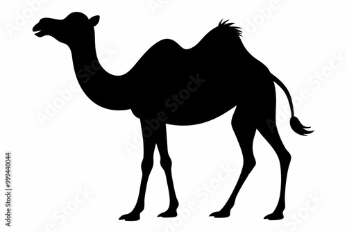 Camel silhouette, Camel icon vector, black camel animal silhouette