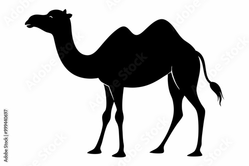 Camel silhouette, Camel icon vector, black camel animal silhouette