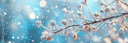 Winter Wonderland Serenity, enchanting snow-covered branches, gentle soft sky, tranquil atmosphere, peaceful winter landscape, inviting calmness and beauty