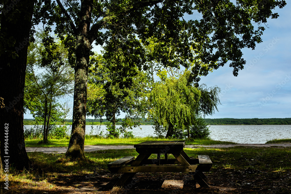 Wooden bench and table for picnicking under the trees near the lake of Soustons in the southwest of France
