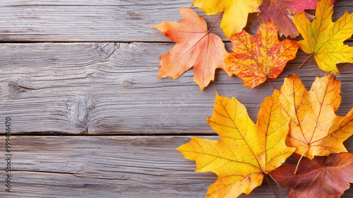 Colorful autumn maple leaves wooden background, copy space. Fall foliage season abstract border, orange yellow brown leaf pattern texture seasonal decoration. Rustic frame, harvest, halloween.