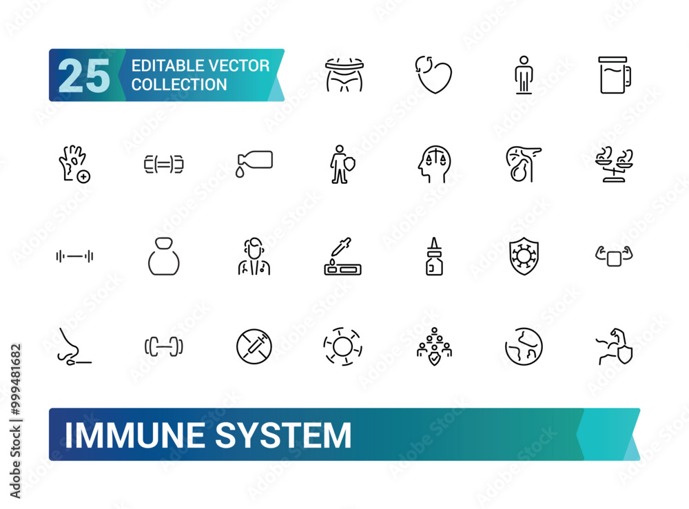 Immune system line icons set. Outline set of immune system vector icon for web and ui design, Thin line icons pack, Editable stroke. Pixel perfect, vector illustration. Immune system line icons set. Outline set of immune system vector icon for web and ui design, Thin line icons pack, Editable stroke. Pixel perfect, vector illustration.