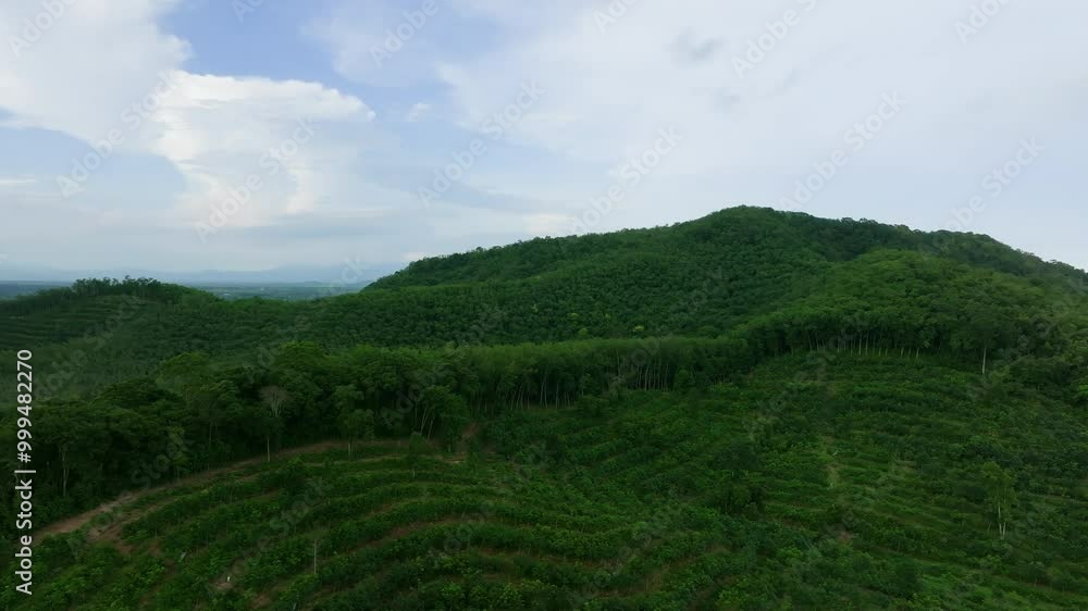 Exploring Lush Green Hills With Terraced Landscapes During a Clear Day in a Picturesque Natural Setting Exploring Lush Green Hills With Terraced Landscapes During a Clear Day in a Picturesque Natural Setting