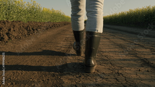 Farmer Worker Goes Home. Follow To Female Farmers Feet In Boots Walking Through Rapeseed Field. Agronomist Walking On Farm. Harvesting In Field.