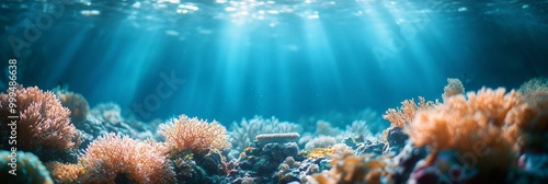 Serene Underwater Coral Reef Ecosystem, vibrant marine life in sharp focus, tranquil blue waters, soft blurred background enhancing depth photo