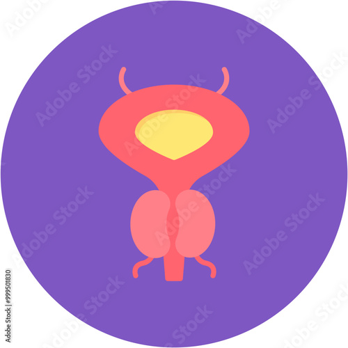 Prostate icon vector image. Can be used for Human Anatomy.