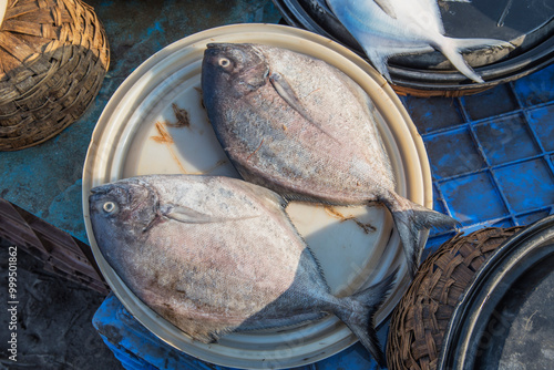 A fresh catch of sea food, fish for sale at Harne or Harnai Bandar or Port, Harne or Harnai, Dapoli, Konkan, Maharashtra, India, Asia photo