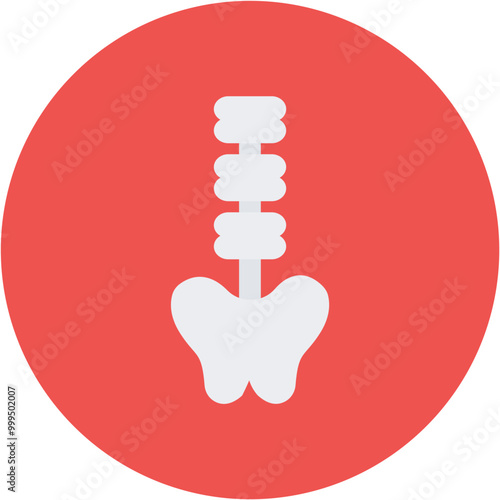 Vertebrae icon vector image. Can be used for Human Anatomy.