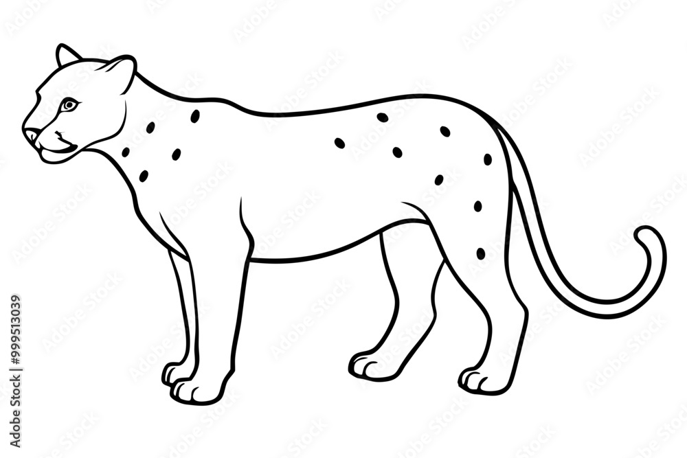 Fototapeta premium jaguar line art, jaguar outline vector illustration
