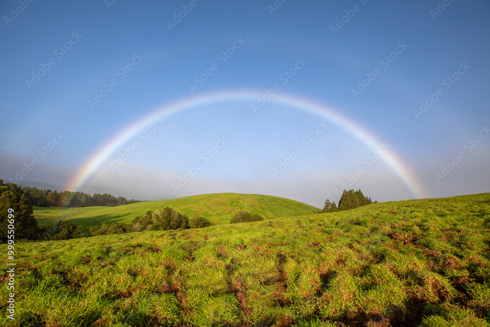 Rainbow Over Green Hills in São Miguel, Azores, Scenic Landscape with Clear Blue Sky, Perfect for Nature Backgrounds or Wall Art Rainbow Over Green Hills in São Miguel, Azores, Scenic Landscape with Clear Blue Sky, Perfect for Nature Backgrounds or Wall Art