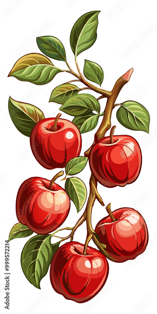apple with branch and leaves - apple vector art, illustration of apple, apple isolated on white apple with branch and leaves - apple vector art, illustration of apple, apple isolated on white