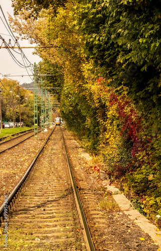 railway in the autumn