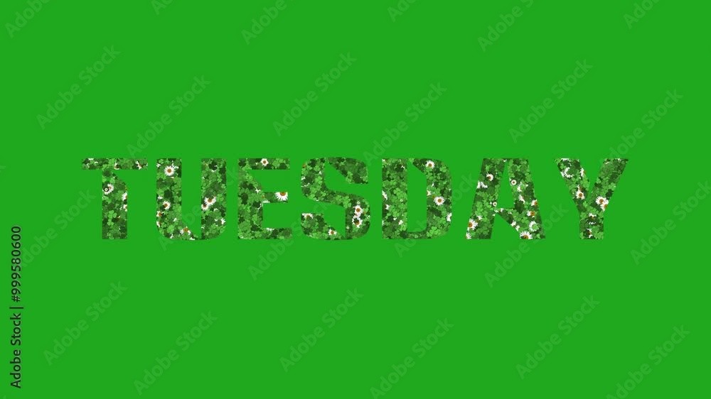 Growing flowers and leaves in weekdays on green screen background Growing flowers and leaves in weekdays on green screen background