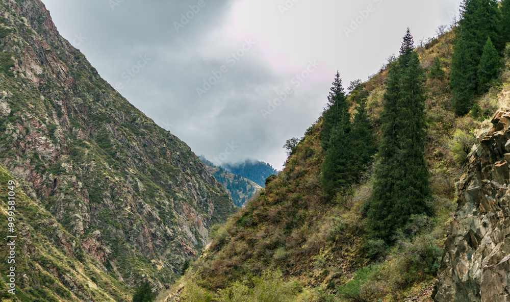 Obraz premium landscape with clouds