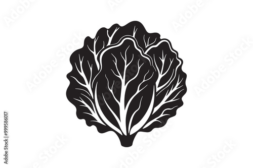 Lettuce silhouette vector illustration