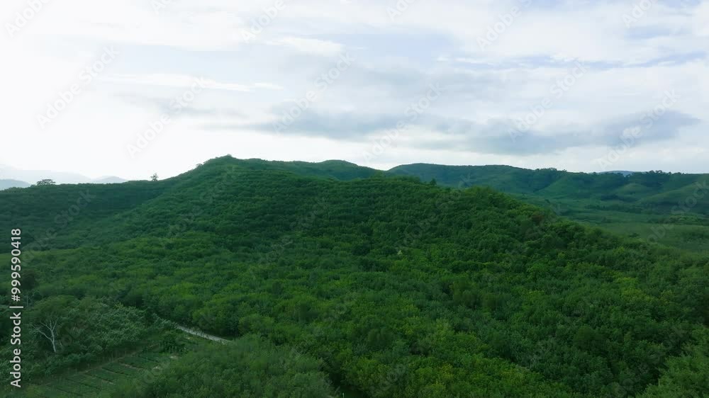 Explore the Lush Green Hills and Serene Landscapes of the Countryside at Dawn in This Breathtaking Nature Journey Explore the Lush Green Hills and Serene Landscapes of the Countryside at Dawn in This Breathtaking Nature Journey