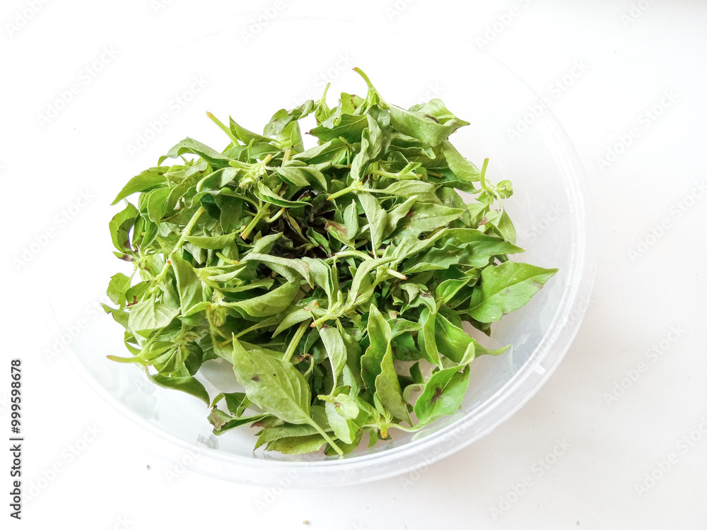 pieces of basil leaves isolate on white. ready to cook pieces of basil leaves isolate on white. ready to cook