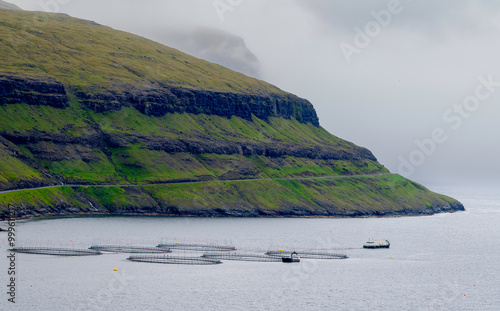 Granja de salmones de alta calidad en las Islas Feroe, Dinamarca