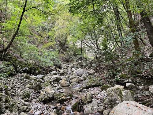 Waterfalls and gorges under Vrsno (Kobarid, Slovenia) - Wasserfälle und Tröge unter Vrsno (Kobarid, Slowenien) - Slapovi in korita pod Vrsnim (Kobarid, Slovenija) photo