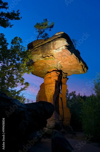 Teufelstisch von Hinterweidenthal photo