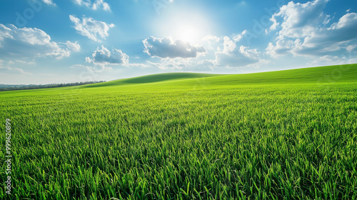 Hilly Green Field Under Bright Sun