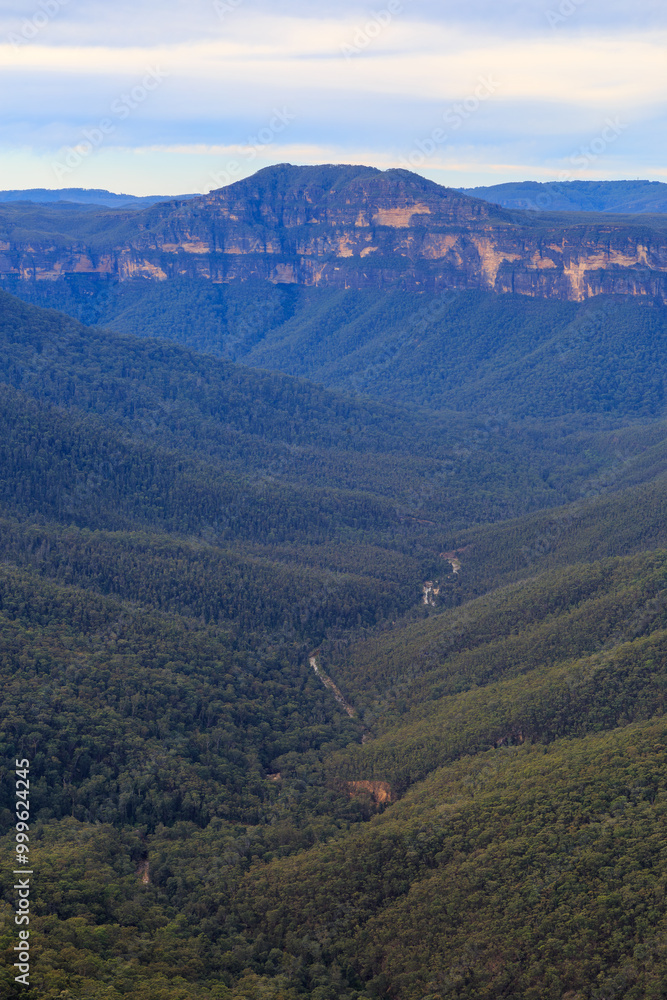 Obraz premium The Blur Mountains of New South Wales, Australia. A view looking down Govett Creek to Mount Banks