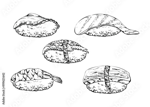 Traditional Japanese food, nigiri sushi with raw fish tuna salmon unagi shrimp, tamagoyaki tako octopus, hand drawn in vector pen, ink. Set of elements for restaurant, cafe menu, kitchen, recipe book