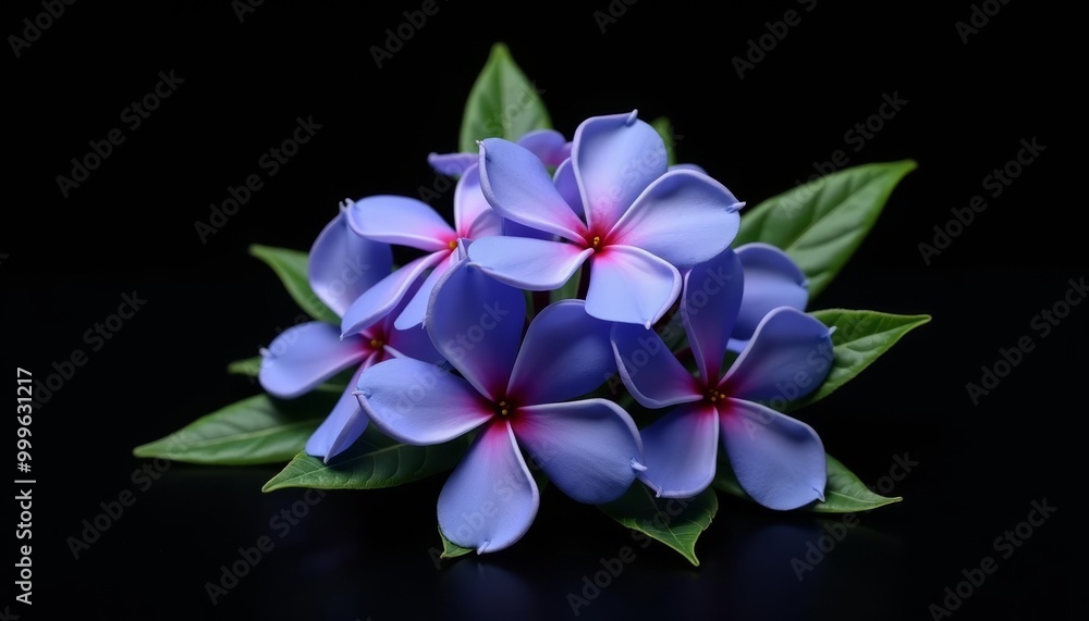 Elegance in bloom A bouquet of vibrant purple flowers Elegance in bloom A bouquet of vibrant purple flowers
