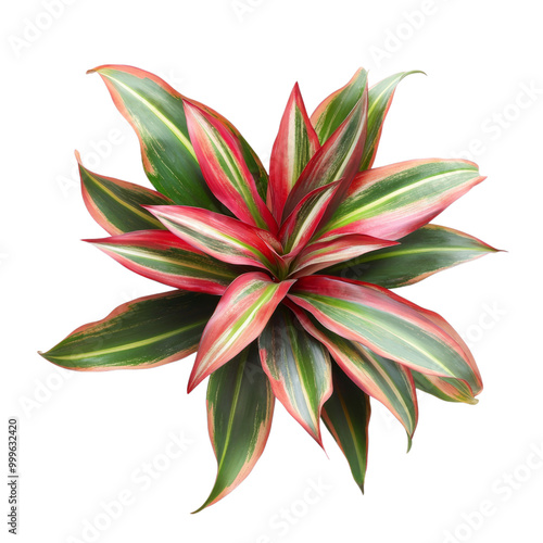 Red and yellow floral vector illustration with leaves and branches, perfect for spring and summer designs