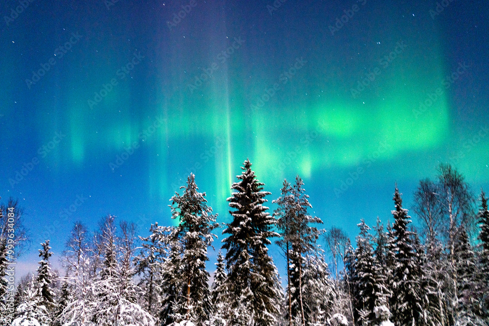 custom made wallpaper toronto digitalpolar lights in Rovaniemi Lapland Finland on a old snowy night