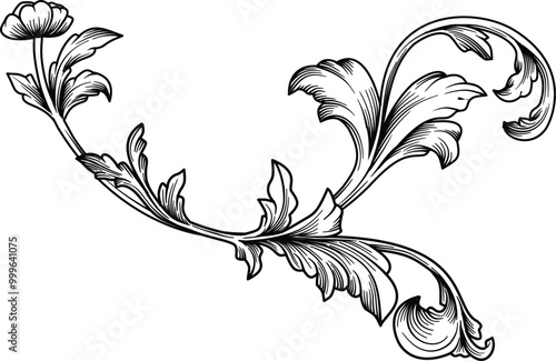 Ornate vintage baroque decorative floral scroll engraving hand drawn vector illustration 