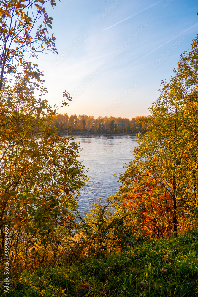 Colorful autumn landscape with birch grove with golden foliage on the shore of the lake and beautiful reflections at sunset. High quality photo