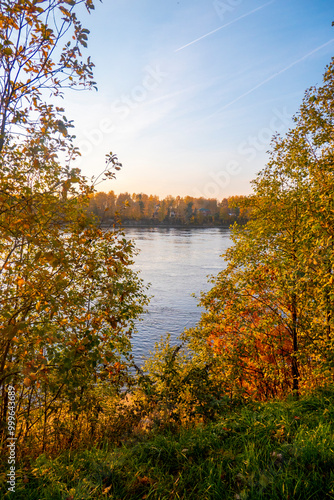 Obraz na płótnie Colorful autumn landscape with birch grove with golden foliage on the shore of the lake and beautiful reflections at sunset. High quality photo w salonie