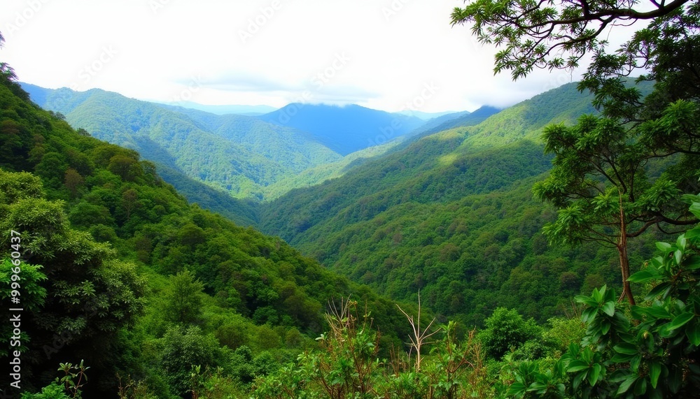Majestic mountain valley a serene natural spectacle Majestic mountain valley a serene natural spectacle