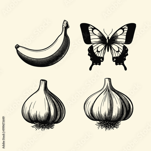 Vintage Illustrations of Banana, Butterfly, and Garlic Bulbs on Beige Background