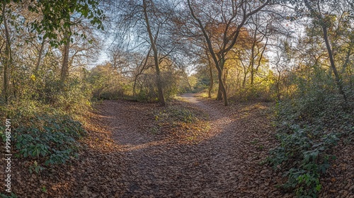 A serene forest pathway with autumn foliage and a fork in the trail.