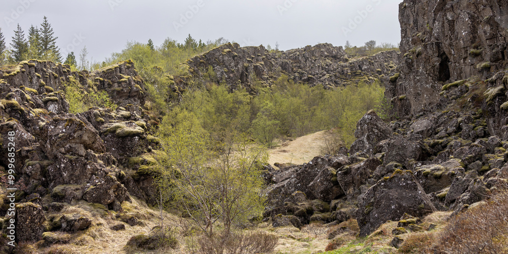 Almannagjá gorge, the fault at the tectonic plates, Thingvellir (Þingvellir) National Park, Iceland Almannagjá gorge, the fault at the tectonic plates, Thingvellir (Þingvellir) National Park, Iceland