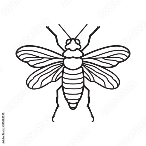 Insect Vector illustration in black and white - Insecta Outline ClipArt Design
