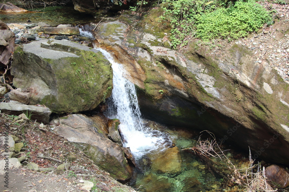 Fototapeta premium waterfall in the forest