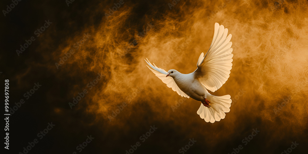 Obraz premium White Dove Flying in Dramatic Sky at Sunset